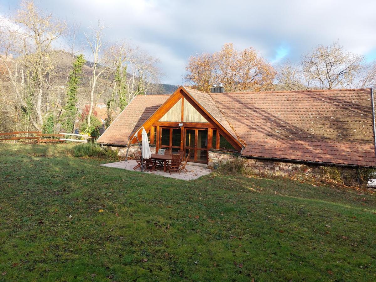 La Canopee Alsacienne - Magnifique Maison A Ribeauville Ribeauvillé Exterior foto