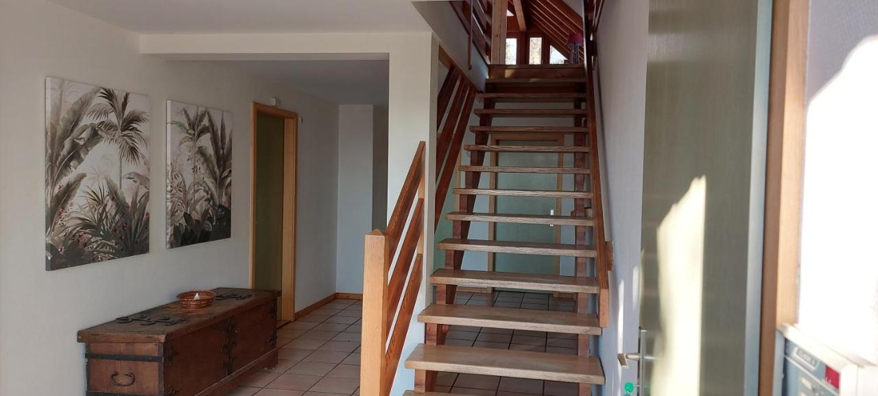 La Canopee Alsacienne - Magnifique Maison A Ribeauville Ribeauvillé Exterior foto
