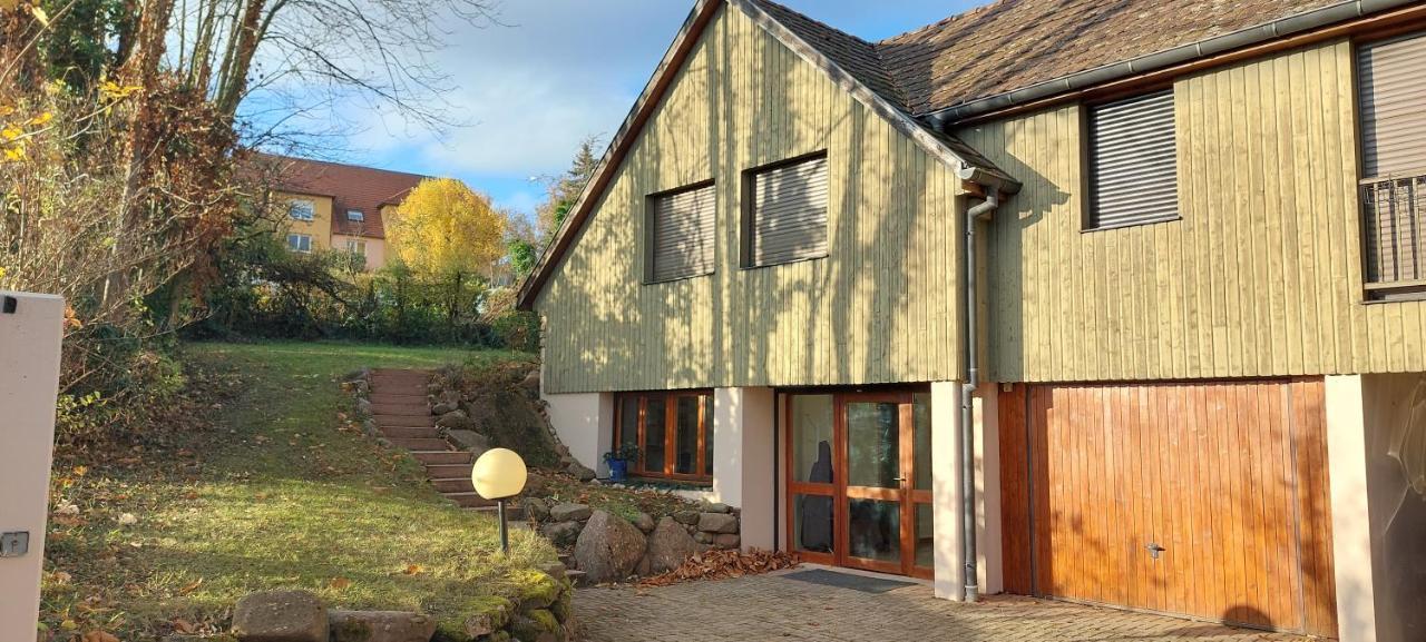 La Canopee Alsacienne - Magnifique Maison A Ribeauville Ribeauvillé Exterior foto